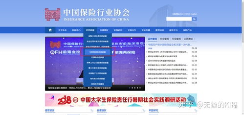 梧桐樹保險經(jīng)紀(jì) 互聯(lián)網(wǎng)信息服務(wù)解析與市場認(rèn)知